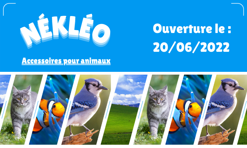 Image from our fictitious Nékléo pet shop flyer